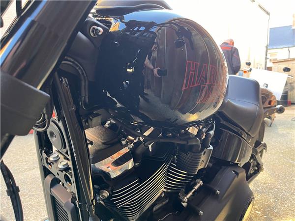 2025 Harley-Davidson Softail
