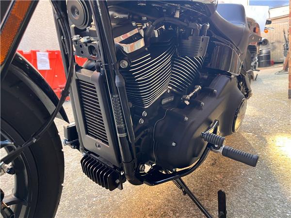 2025 Harley-Davidson Softail