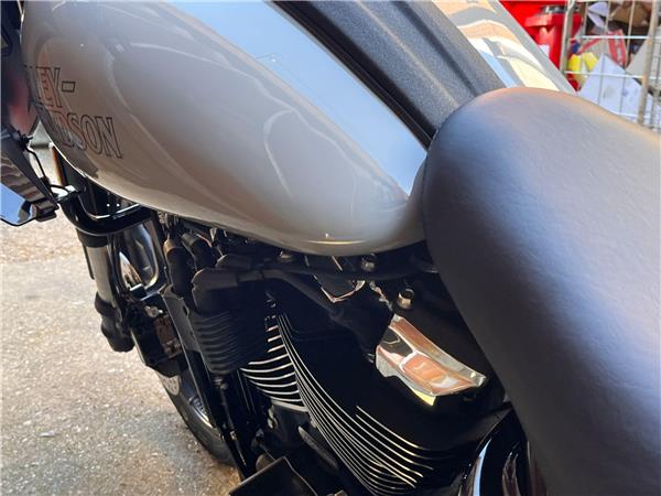 2026 Harley-Davidson Softail