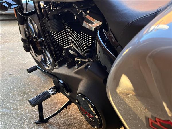 2026 Harley-Davidson Softail