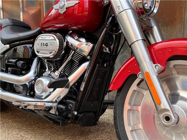 2019 Harley-Davidson Softail
