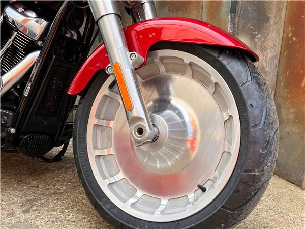 2019 Harley-Davidson Softail