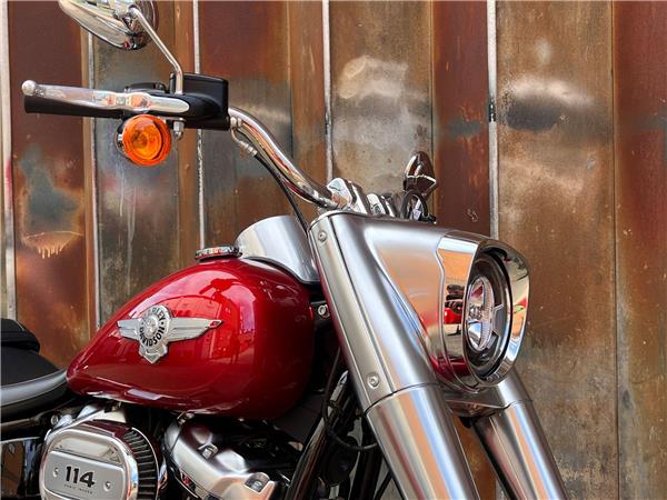 2019 Harley-Davidson Softail