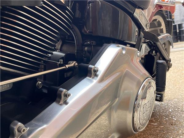 2019 Harley-Davidson Softail