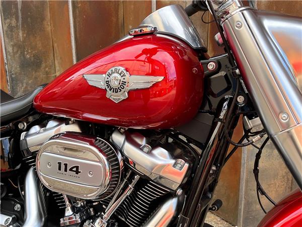 2019 Harley-Davidson Softail