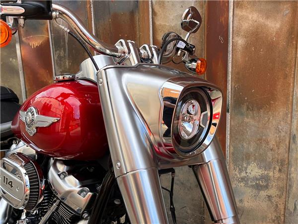 2019 Harley-Davidson Softail
