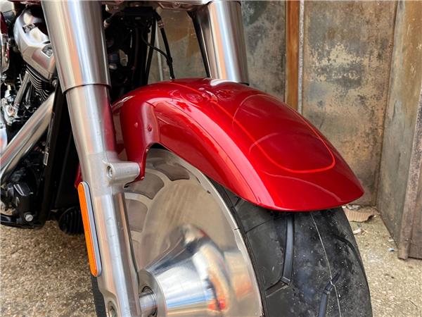 2019 Harley-Davidson Softail