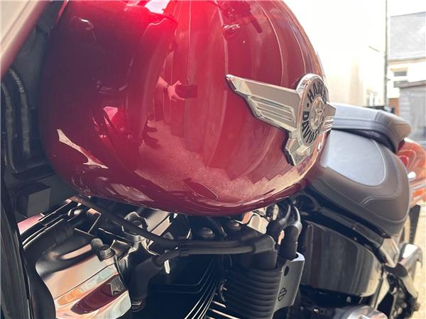 2019 Harley-Davidson Softail
