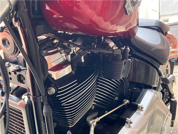 2019 Harley-Davidson Softail