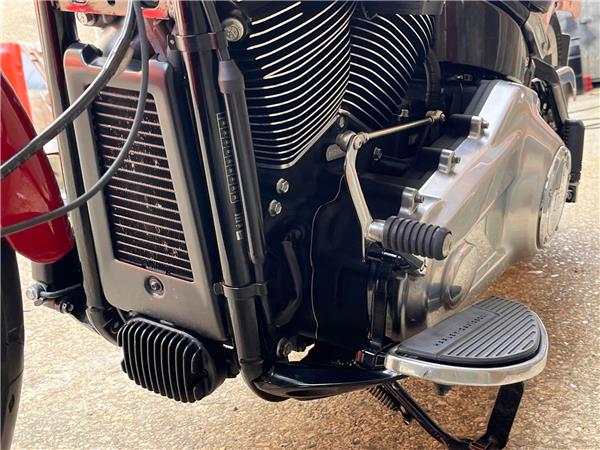 2019 Harley-Davidson Softail