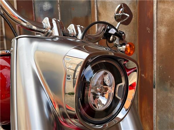 2019 Harley-Davidson Softail