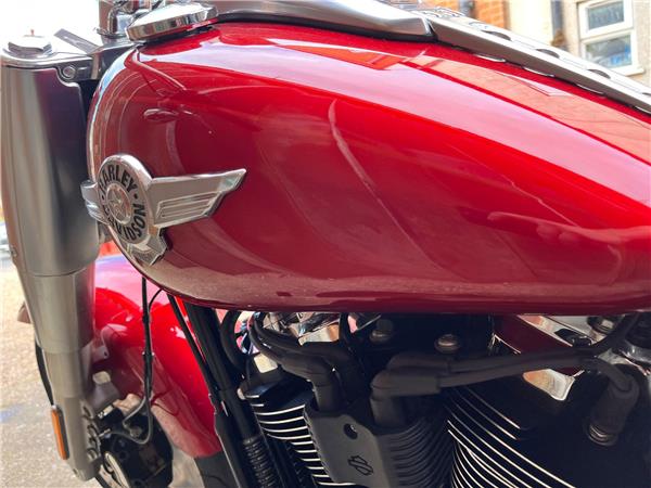 2019 Harley-Davidson Softail
