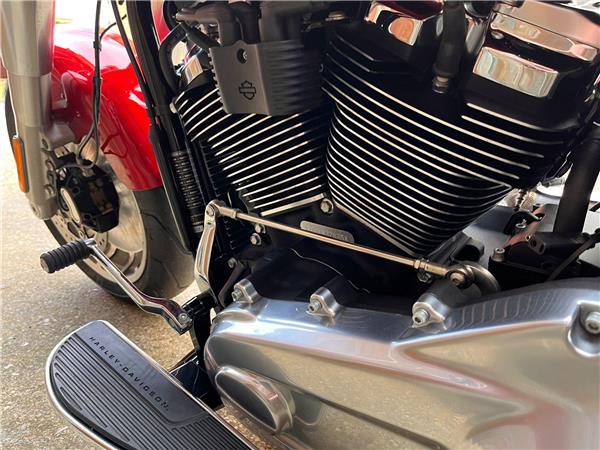 2019 Harley-Davidson Softail