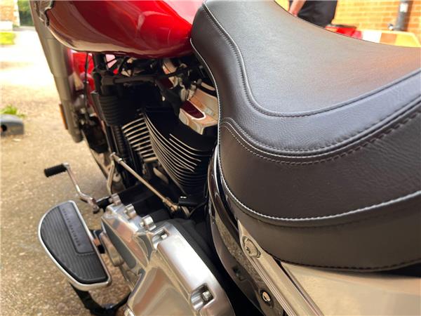2019 Harley-Davidson Softail