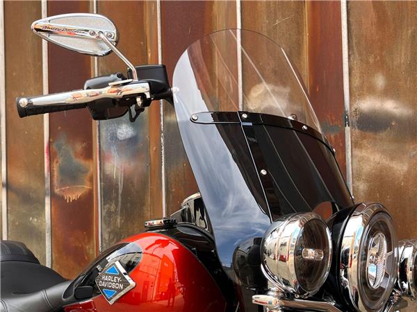2025 Harley-Davidson Softail