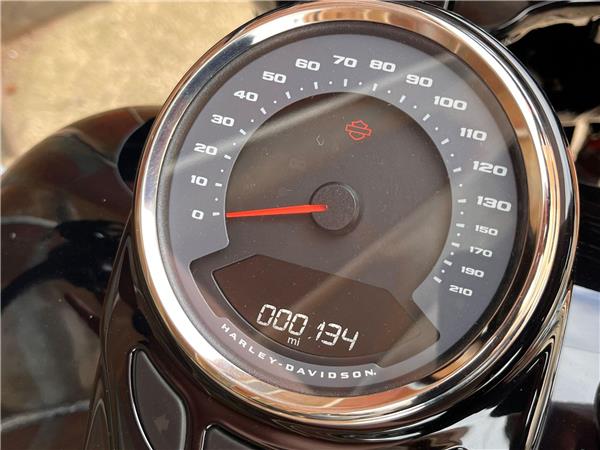 2025 Harley-Davidson Softail