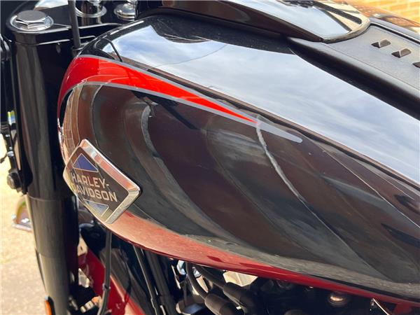 2025 Harley-Davidson Softail