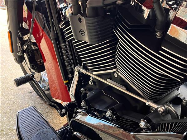 2025 Harley-Davidson Softail