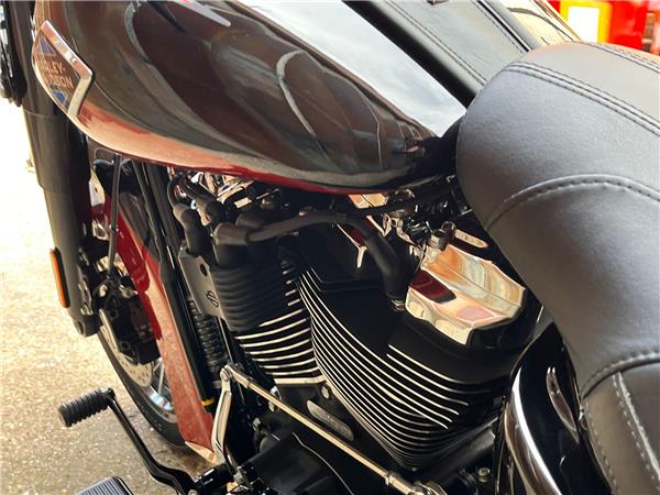 2025 Harley-Davidson Softail