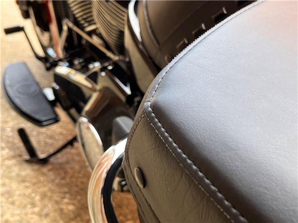 2025 Harley-Davidson Softail