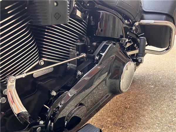 2025 Harley-Davidson Softail