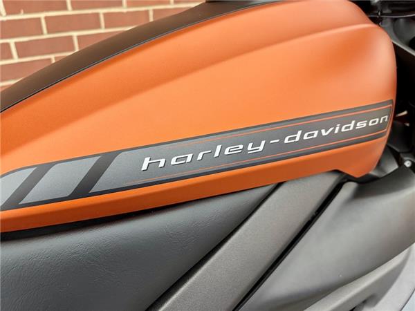 2020 HARLEY-DAVIDSON LIVEWIRE