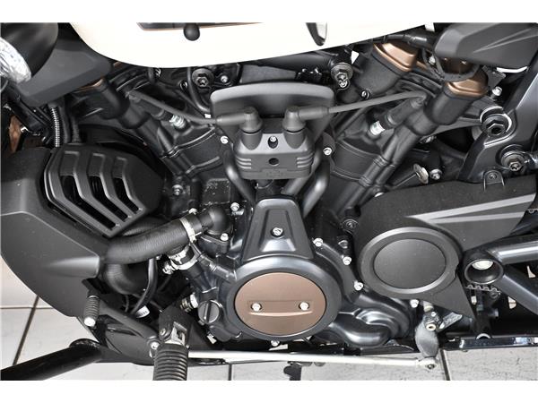 2023 HARLEY-DAVIDSON SPORTSTER S