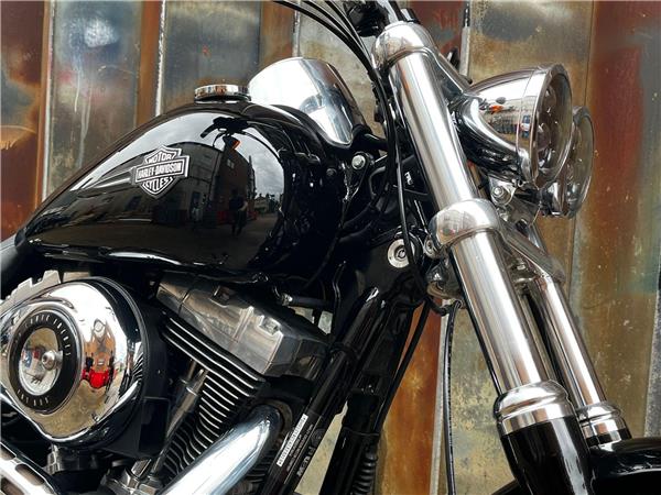 2010 Harley-Davidson Dyna
