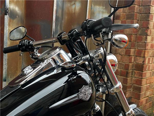 2010 Harley-Davidson Dyna