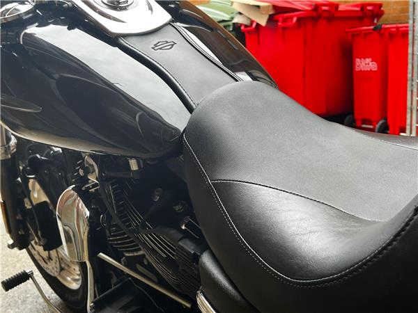2010 Harley-Davidson Dyna