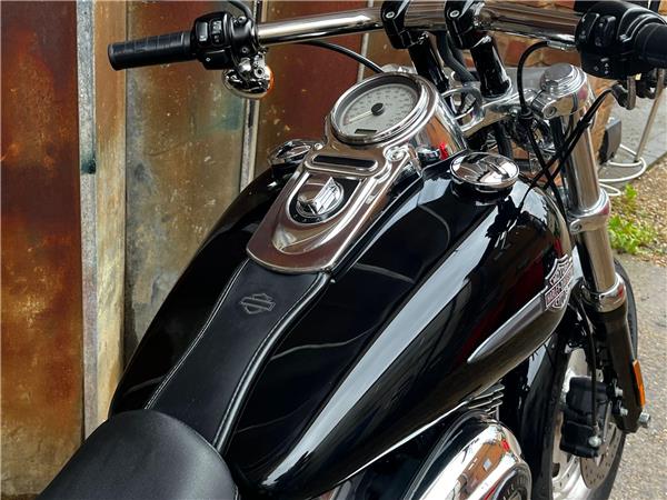 2010 Harley-Davidson Dyna