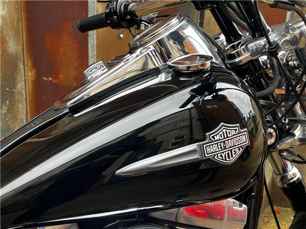 2010 Harley-Davidson Dyna