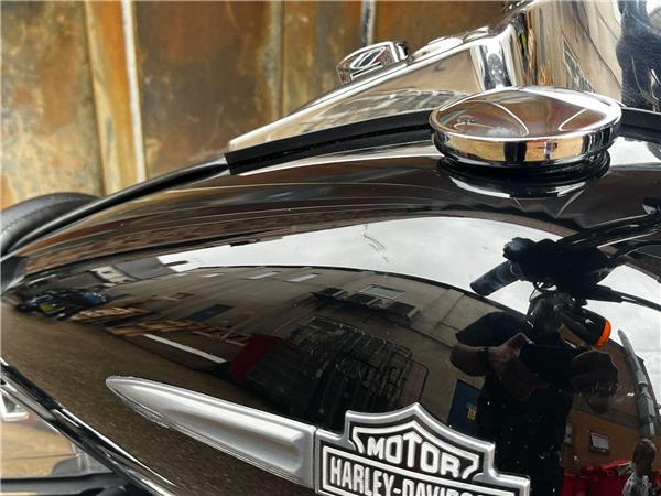 2010 Harley-Davidson Dyna