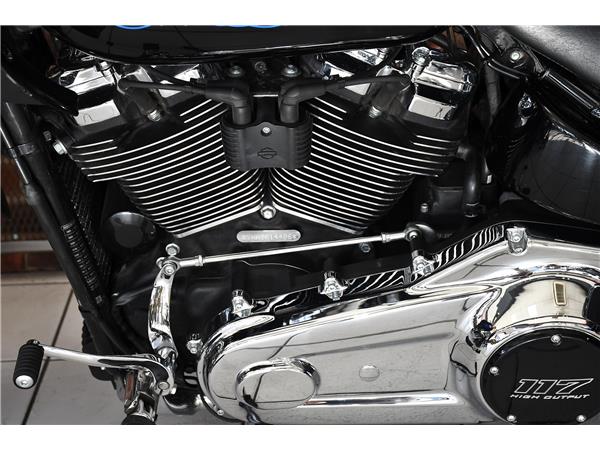 2025 HARLEY-DAVIDSON LOW RIDER ST