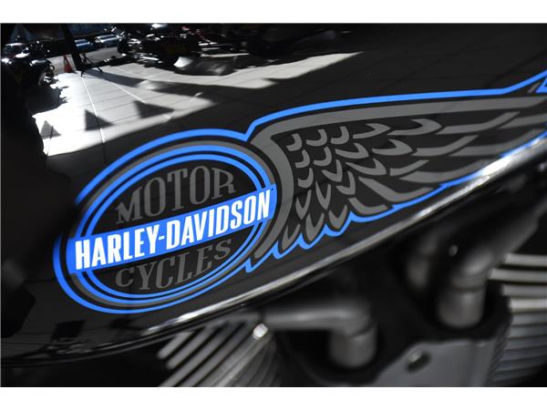 2025 HARLEY-DAVIDSON LOW RIDER ST