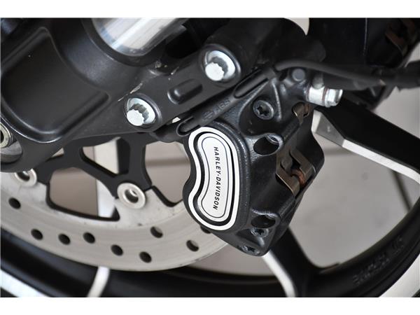 2025 HARLEY-DAVIDSON LOW RIDER ST