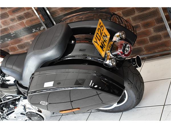 2025 HARLEY-DAVIDSON LOW RIDER ST