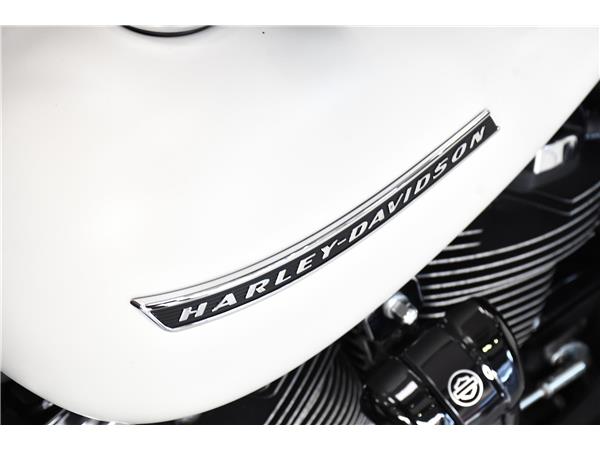 2020 HARLEY-DAVIDSON TOURING FLHRXS ROAD KING SPECIAL