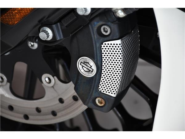 2020 HARLEY-DAVIDSON TOURING FLHRXS ROAD KING SPECIAL