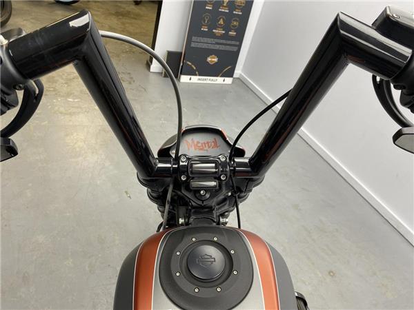 2019 Harley-Davidson FXDR 114