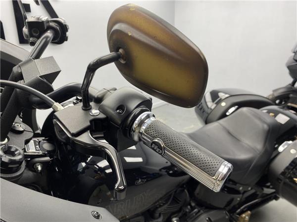 2022 Harley-Davidson Low Rider ST