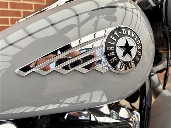 2025 HARLEY-DAVIDSON SOFTAIL FLFB FAT BOY