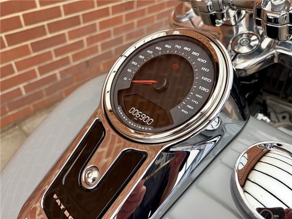 2025 HARLEY-DAVIDSON SOFTAIL FLFB FAT BOY