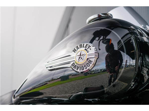 2023 Harley-Davidson Fat Boy 114