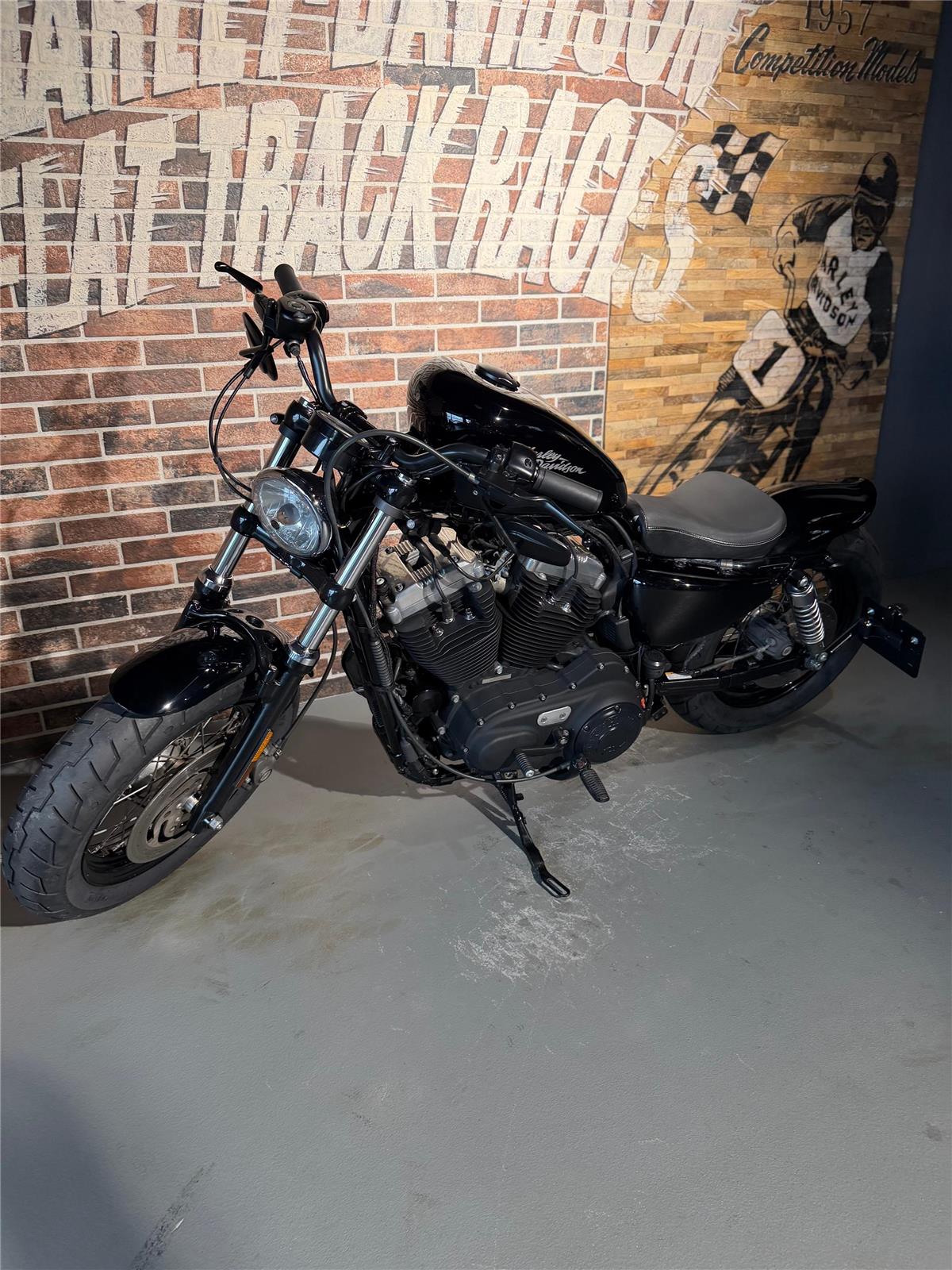2013 harley-davidson XL 1200 X Forty Eight