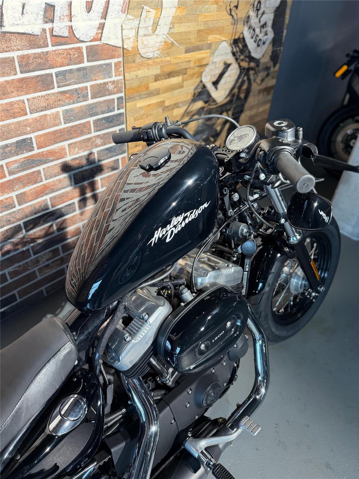 2013 harley-davidson XL 1200 X Forty Eight