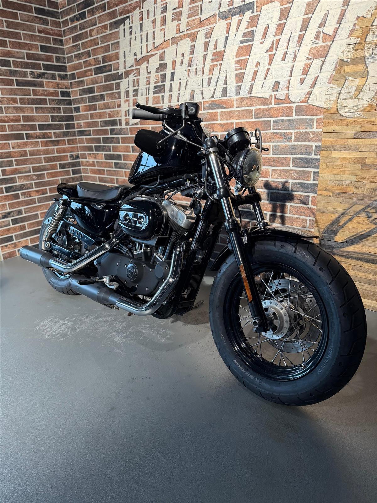 2013 harley-davidson XL 1200 X Forty Eight