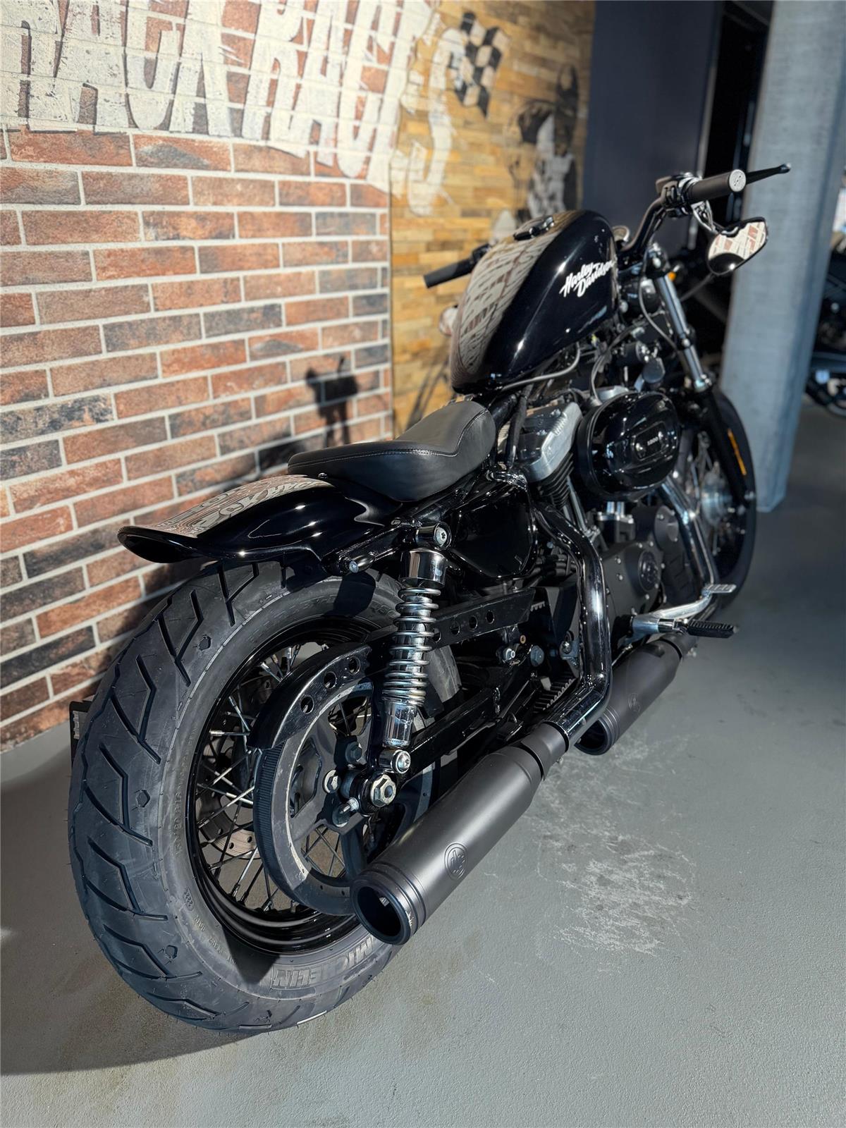 2013 harley-davidson XL 1200 X Forty Eight