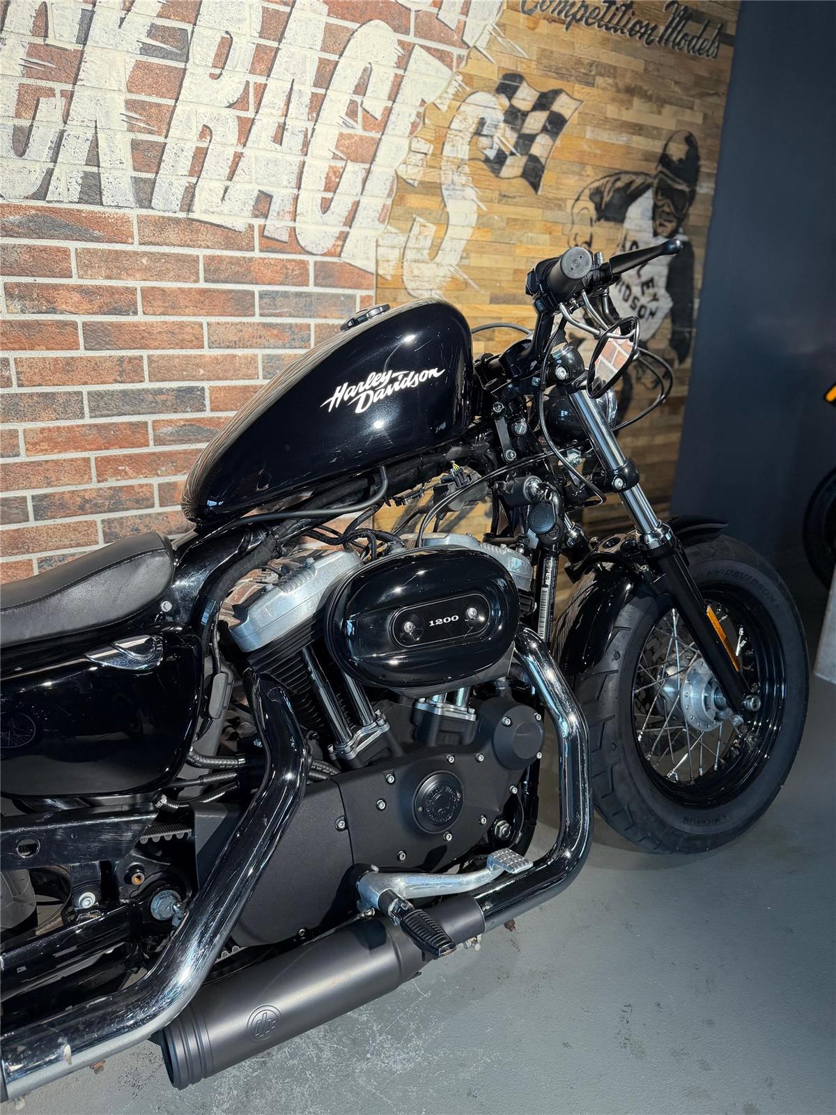 2013 harley-davidson XL 1200 X Forty Eight