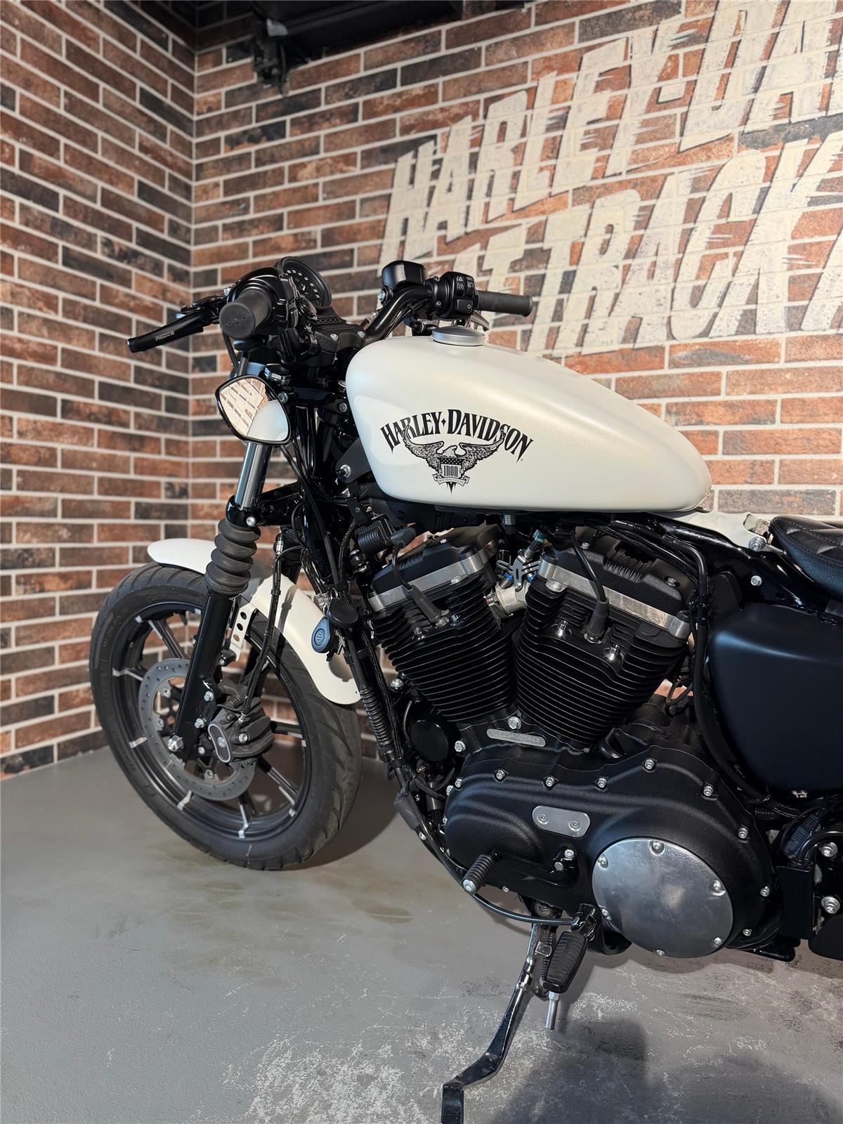 2018 harley-davidson XL 883 N Sportster Iron ABS